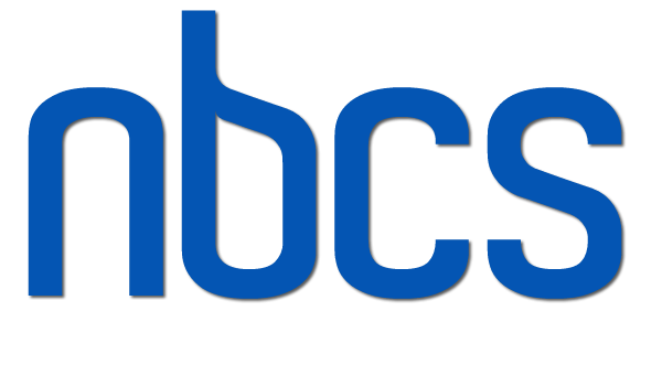 Net Business Consulting & Solutions LLC | Web Development SEO Email Marketing